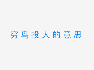 成语穷鸟投人的意思