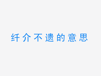 成语纤介不遗的意思