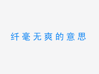 成语纤毫无爽的意思