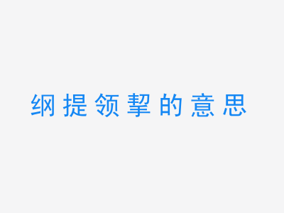 成语纲提领挈的意思