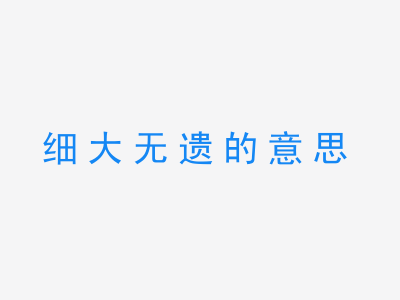 成语细大无遗的意思