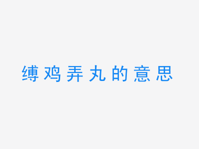 成语缚鸡弄丸的意思