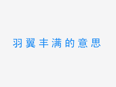 成语羽翼丰满的意思