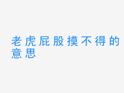 成语老虎屁股摸不得的意思