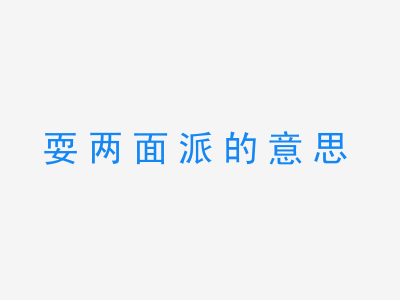 成语耍两面派的意思