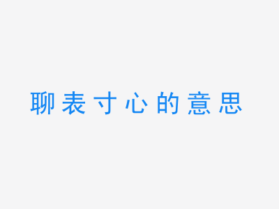 成语聊表寸心的意思