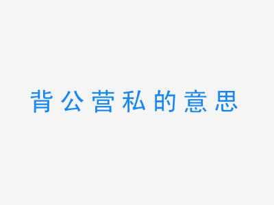 成语背公营私的意思