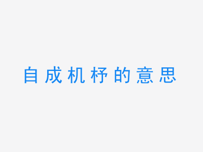 成语自成机杼的意思