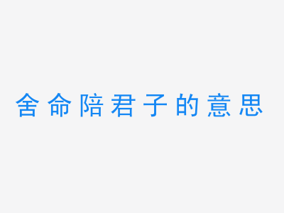 成语舍命陪君子的意思