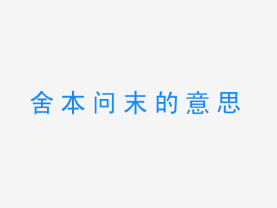 成语舍本问末的意思