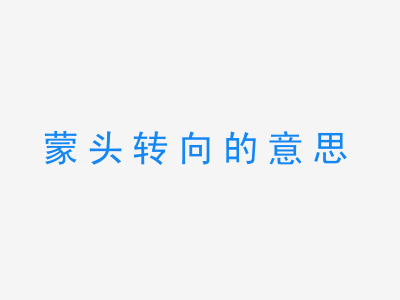 成语蒙头转向的意思