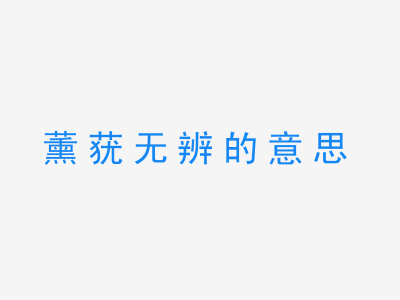 成语薰莸无辨的意思