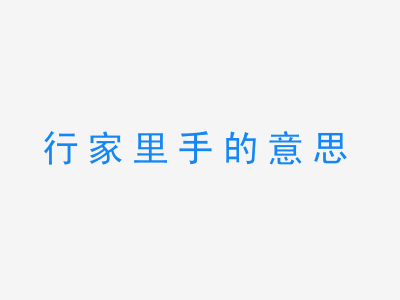 成语行家里手的意思