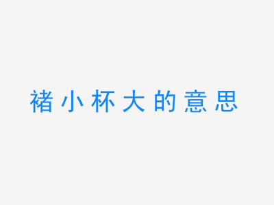 成语褚小杯大的意思