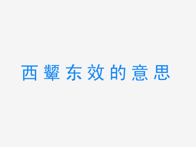 成语西颦东效的意思