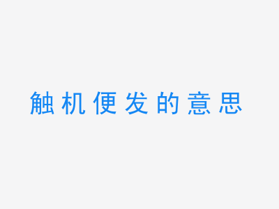 成语触机便发的意思