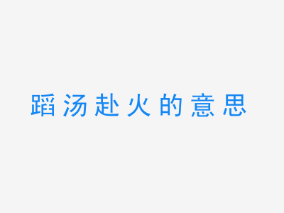 成语蹈汤赴火的意思