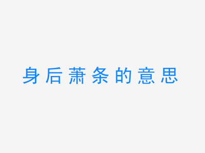 成语身后萧条的意思