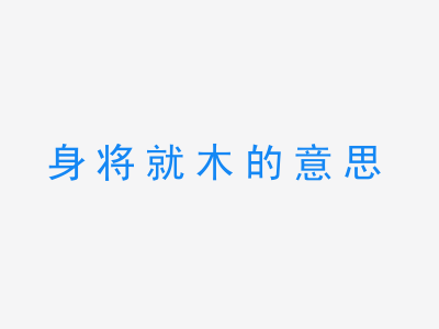 成语身将就木的意思