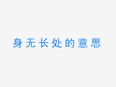 成语身无长处的意思