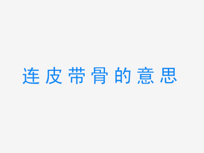 成语连皮带骨的意思