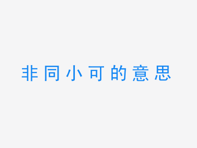 成语非同小可的意思