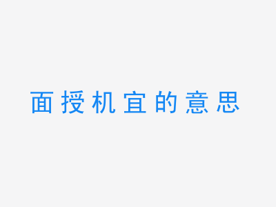 成语面授机宜的意思