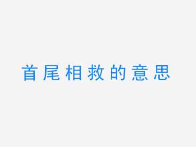 成语首尾相救的意思