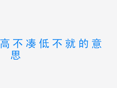 成语高不凑低不就的意思