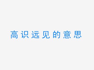 成语高识远见的意思