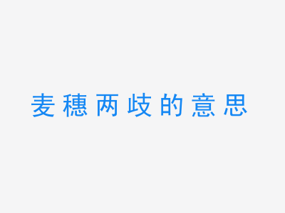 成语麦穗两歧的意思